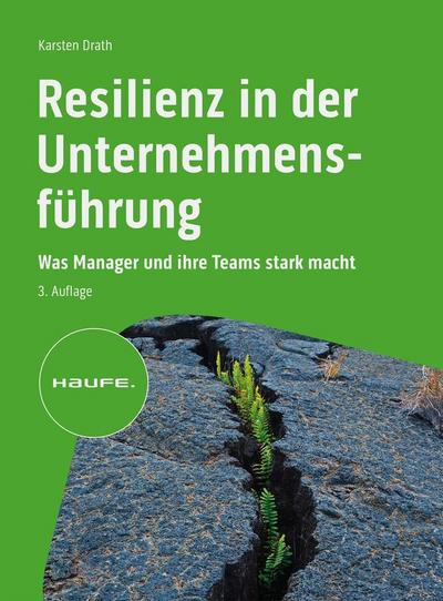 Resilienz in der Unternehmensführung