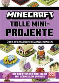 Minecraft Tolle Mini-Projekte (Schuber)