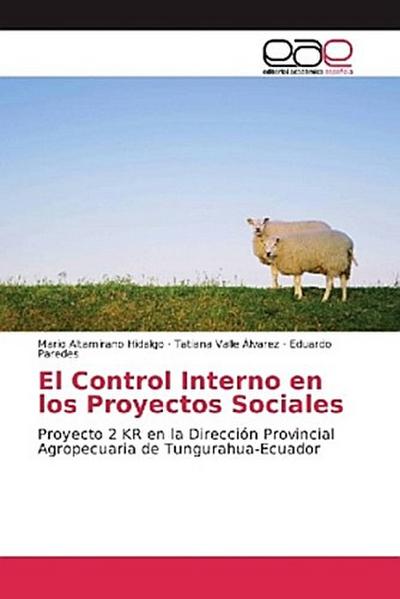 El Control Interno en los Proyectos Sociales