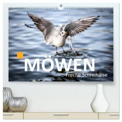 MÖWEN Freche Schreihälse (hochwertiger Premium Wandkalender 2026 DIN A2 quer), Kunstdruck in Hochglanz