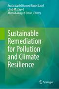 Sustainable Remediation for Pollution and Climate Resilience