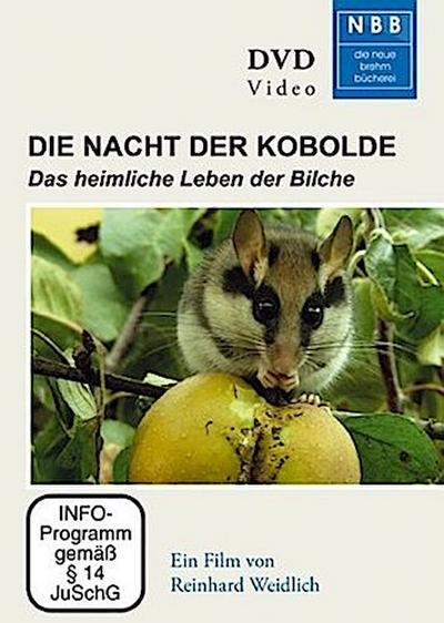 Die Nacht der Kobolde, 1 DVD