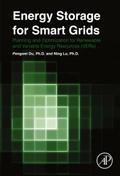 Energy Storage for Smart Grids