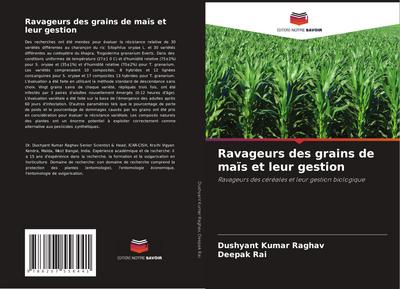 Ravageurs des grains de maïs et leur gestion