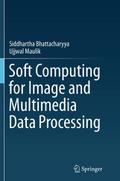 Soft Computing for Image and Multimedia Data Processing