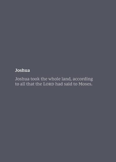 NKJV Bible Journal - Joshua, Paperback, Comfort Print