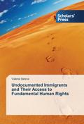 Undocumented Immigrants and Their Access to Fundamental Human Rights