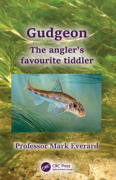 Gudgeon