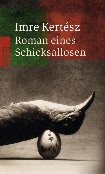 Roman eines Schicksallosen