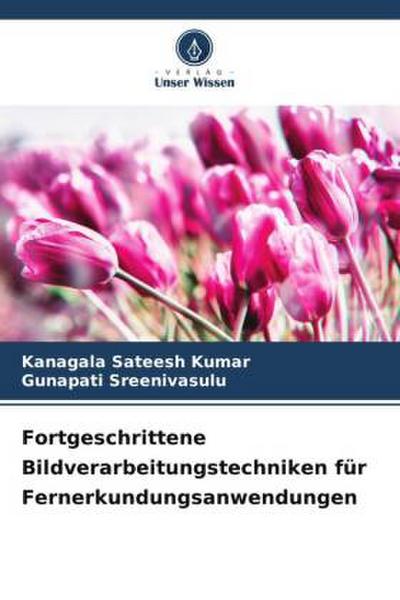 Fortgeschrittene Bildverarbeitungstechniken für Fernerkundungsanwendungen