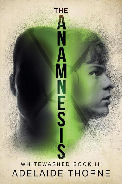 The Anamnesis