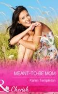 Meant-to-Be Mum (Mills & Boon Cherish) (Jersey