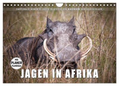 Emotionale Momente: Jagen in Afrika. (Wandkalender 2024 DIN A4 quer), CALVENDO Monatskalender