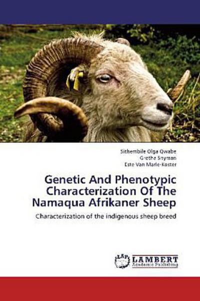 Genetic And Phenotypic Characterization Of The Namaqua Afrikaner Sheep