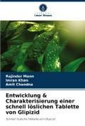 Entwicklung & Charakterisierung einer schnell 