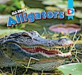 All About Alligators