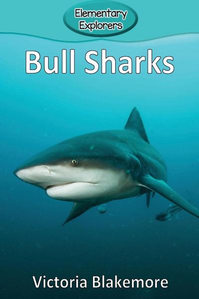 Bull Sharks