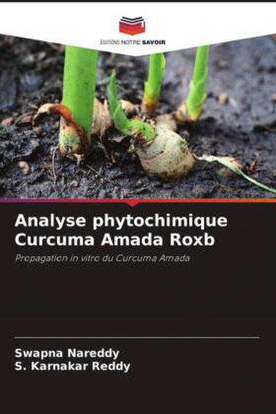 Analyse phytochimique Curcuma Amada Roxb