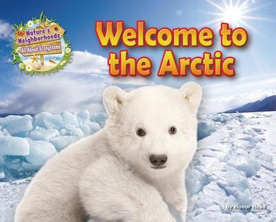 Welcome to the Arctic
