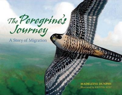 The Peregrine’s Journey