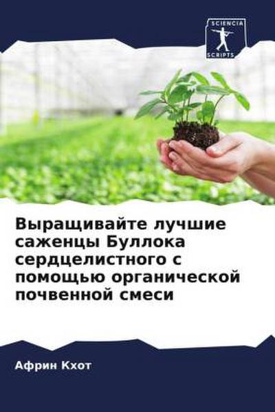 Vyraschiwajte luchshie sazhency Bulloka serdcelistnogo s pomosch’ü organicheskoj pochwennoj smesi