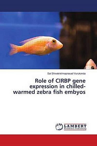 Role of CIRBP gene expression in chilled-warmed zebra fish embyos
