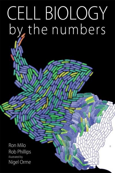 Cell Biology by the Numbers