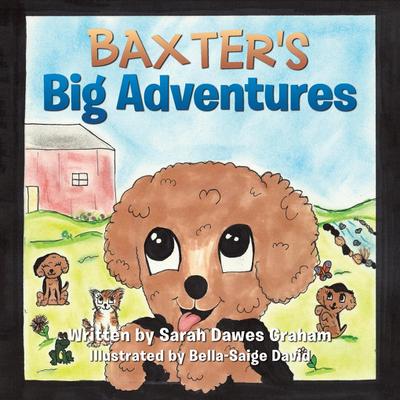 Baxter’s Big Adventures