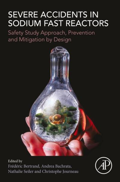 Severe Accidents in Sodium Fast Reactors