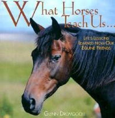 What Horses Teach Us: Life’s Lessons Learned from Our Equine Friends