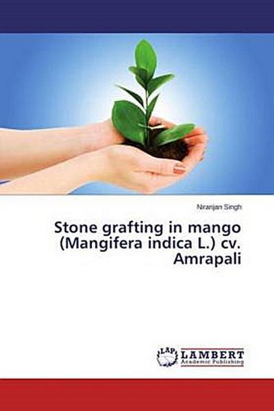 Stone grafting in mango (Mangifera indica L.) cv. Amrapali