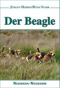 Der Beagle