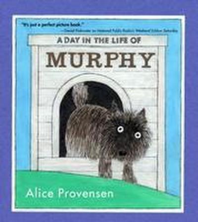 A Day in the Life of Murphy