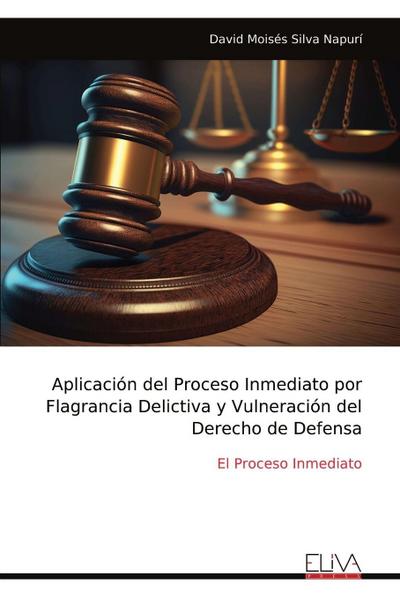 Aplicación del Proceso Inmediato por Flagrancia Delictiva y Vulneración del Derecho de Defensa