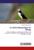 In Vitro Maturation in Sheep