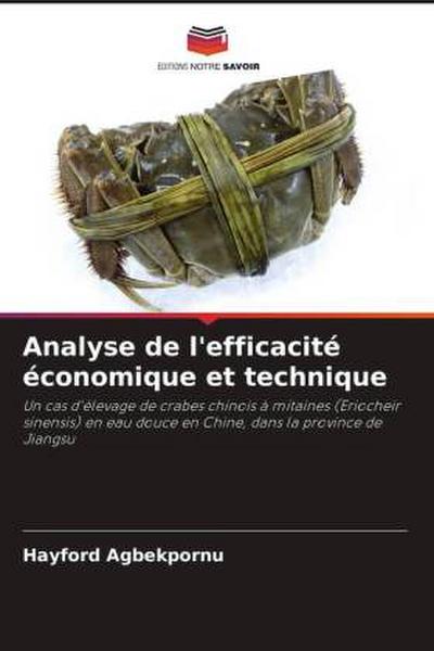 Analyse de l’efficacité économique et technique