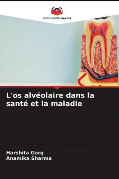L’os alvéolaire dans la santé et la maladie