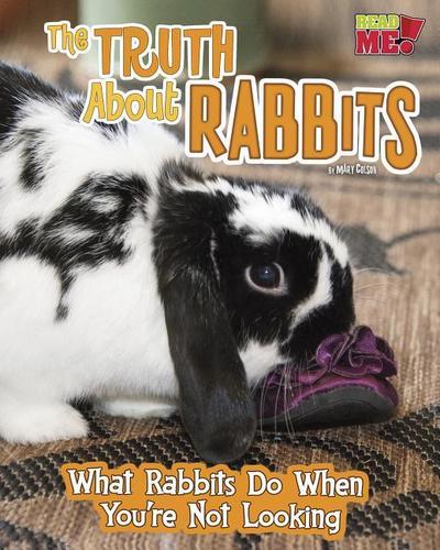 The Truth about Rabbits