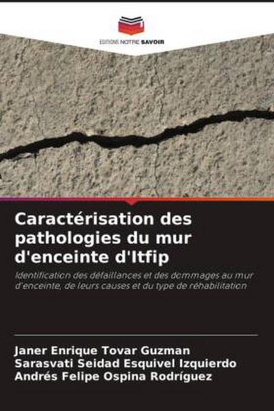 Caractérisation des pathologies du mur d’enceinte d’Itfip
