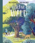 So wächst ein Wald