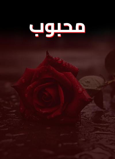 Mehboob