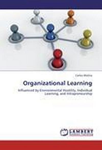 Organizational Learning