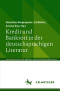 Kredit und Bankrott in der deutschsprachigen Literatur
