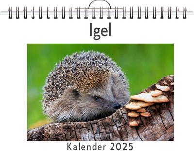 Lange, N: Igel