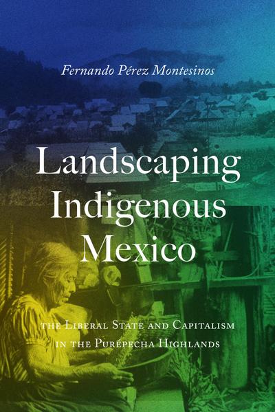 Landscaping Indigenous Mexico