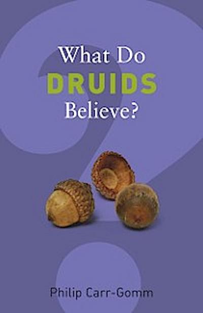 What Do Druids Believe?