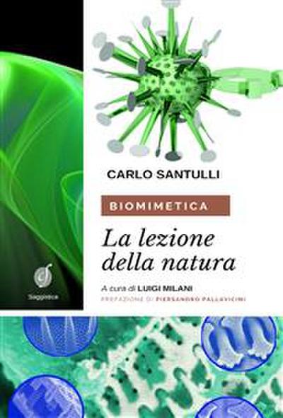 Biomimetica: la lezione della Natura