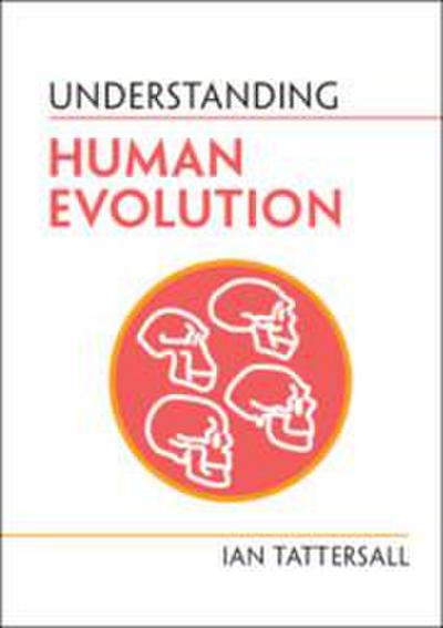 Understanding Human Evolution