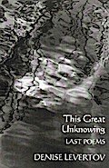 This Great Unknowing