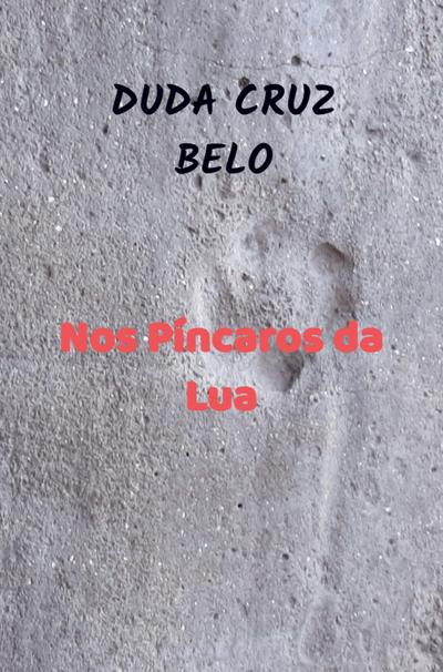 Nos Píncaros da Lua